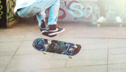 pro-skater-2 pro-skater-2